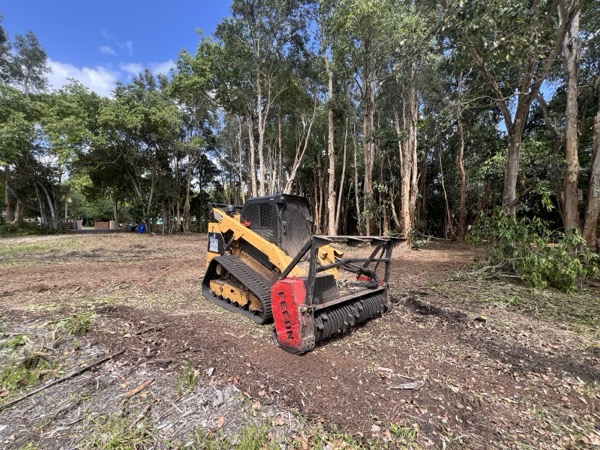 TreeShop land management project in Central Florida