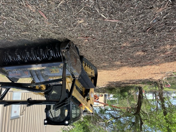 TreeShop land management project in Central Florida
