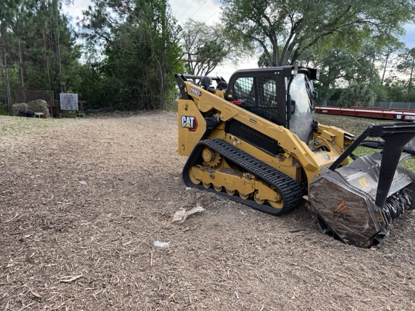 TreeShop land management project in Central Florida