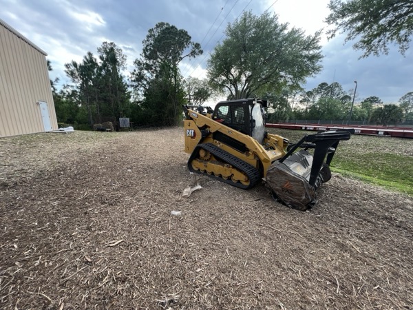 TreeShop land management project in Central Florida