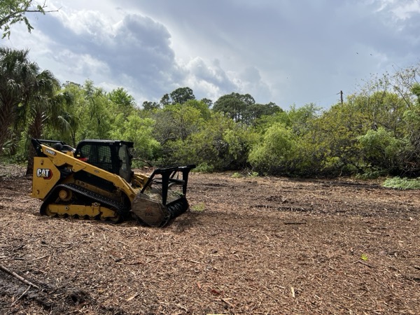 TreeShop land management project in Central Florida