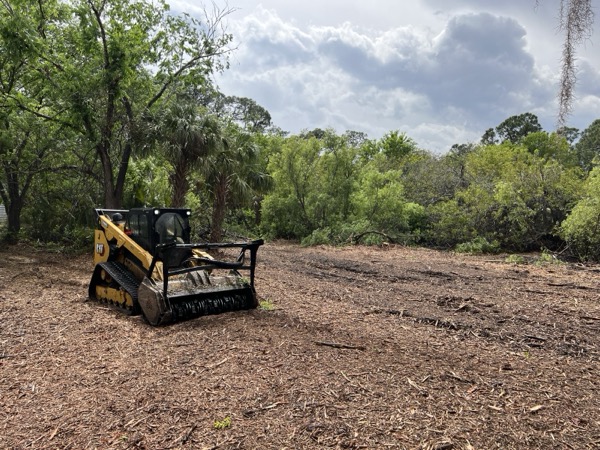 TreeShop land management project in Central Florida