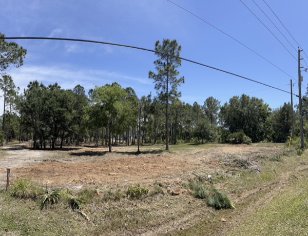 TreeShop land management project in Central Florida