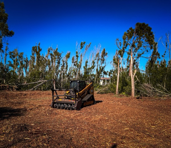 TreeShop land management project in Central Florida