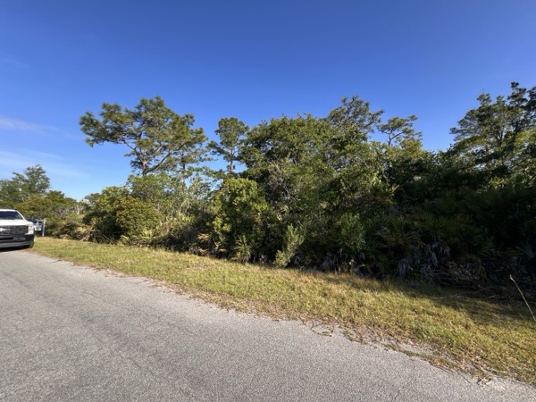 TreeShop land management project in Central Florida