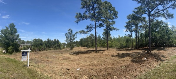 TreeShop land management project in Central Florida