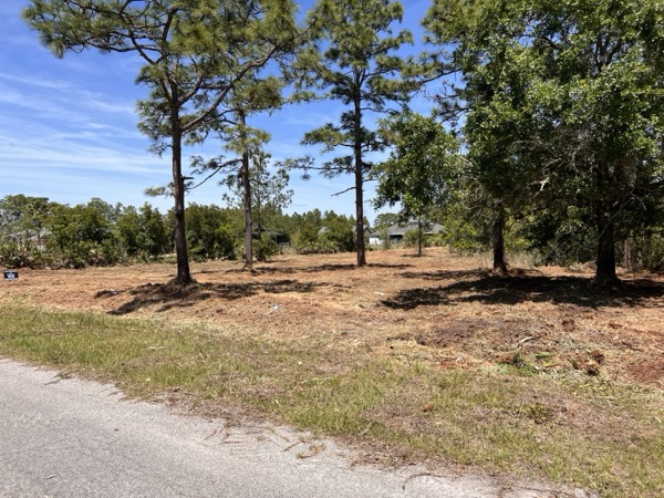 TreeShop land management project in Central Florida