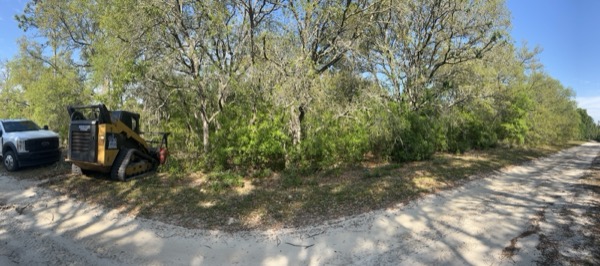 TreeShop land management project in Central Florida