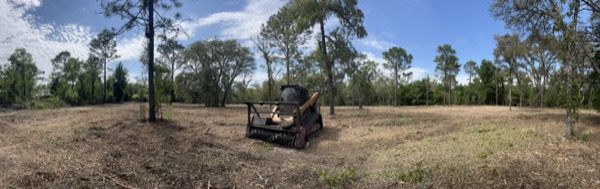 TreeShop land management project in Central Florida