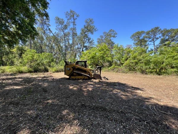 TreeShop land management project in Central Florida