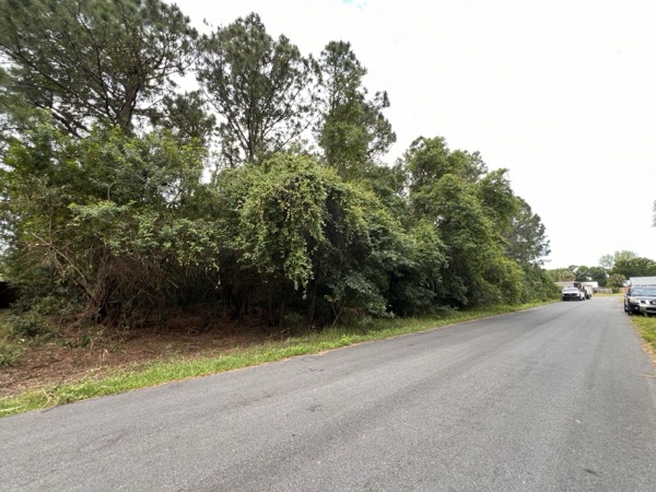 TreeShop land management project in Central Florida