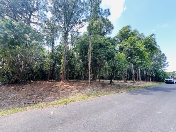 TreeShop land management project in Central Florida
