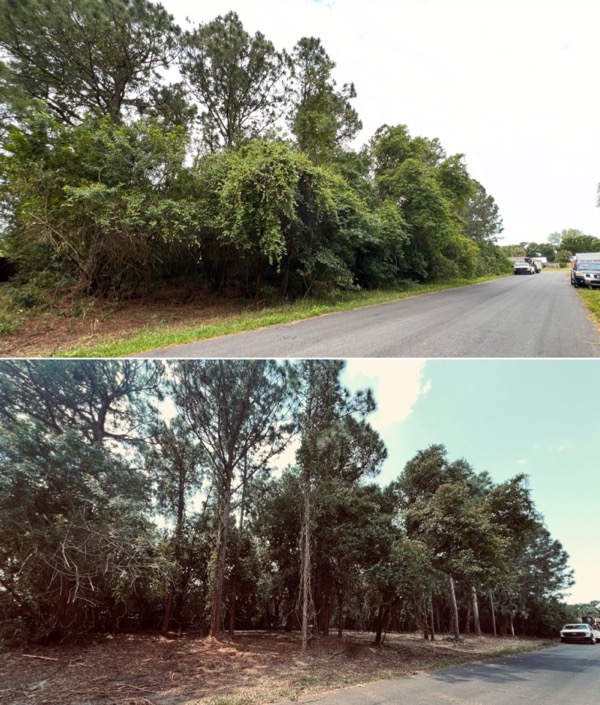 TreeShop land management project in Central Florida