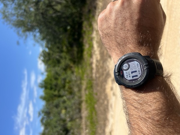 TreeShop land management project in Central Florida