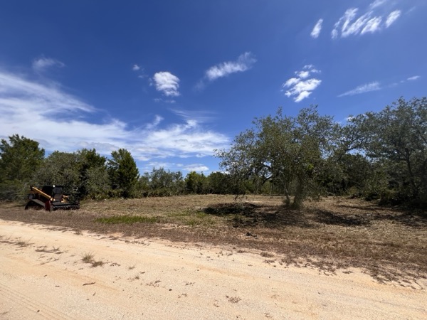 TreeShop land management project in Central Florida
