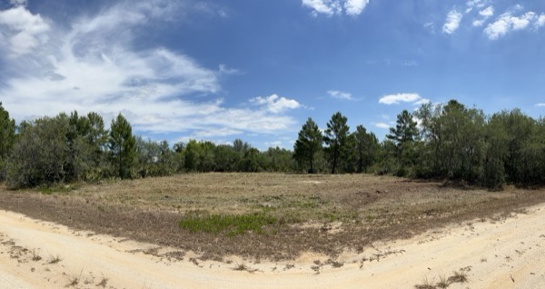 TreeShop land management project in Central Florida