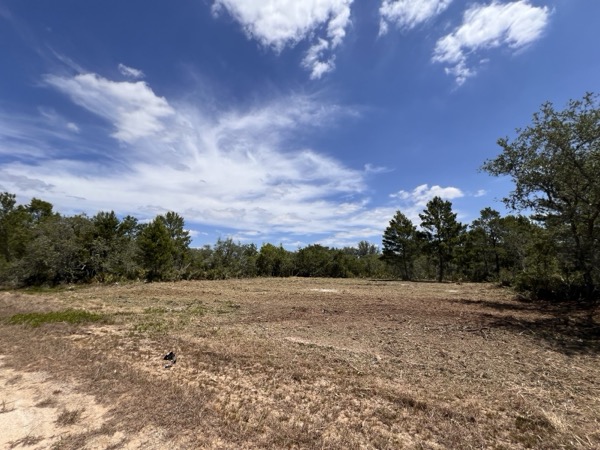 TreeShop land management project in Central Florida