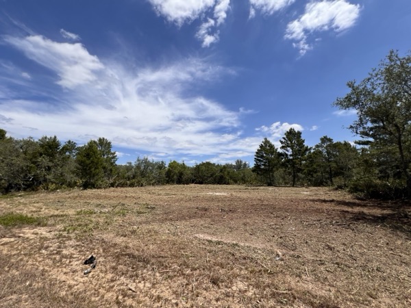 TreeShop land management project in Central Florida