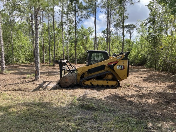 TreeShop land management project in Central Florida