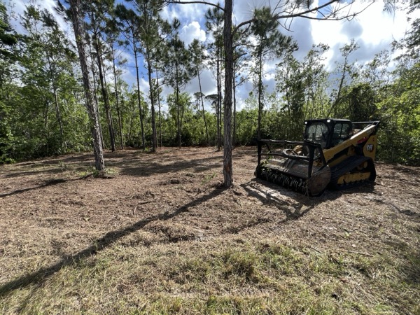 TreeShop land management project in Central Florida