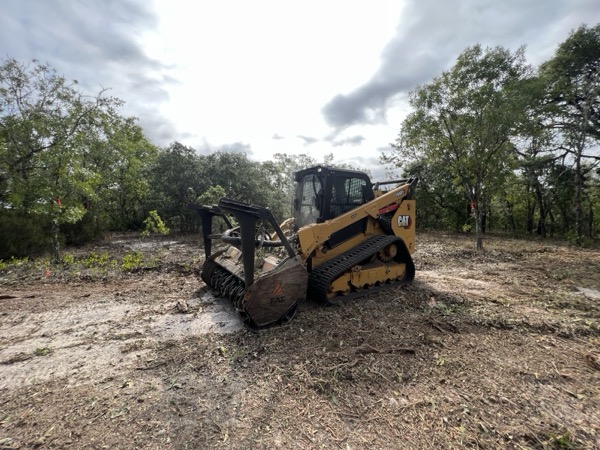 TreeShop land management project in Central Florida