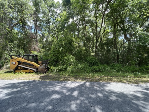 TreeShop land management project in Central Florida