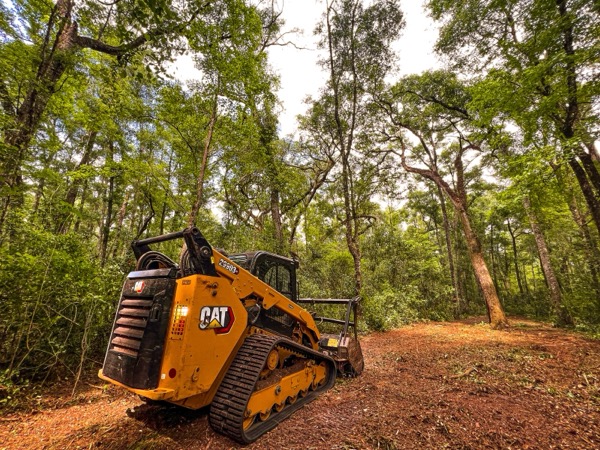 TreeShop land management project in Central Florida
