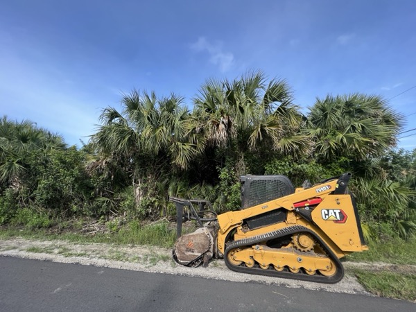 TreeShop land management project in Central Florida