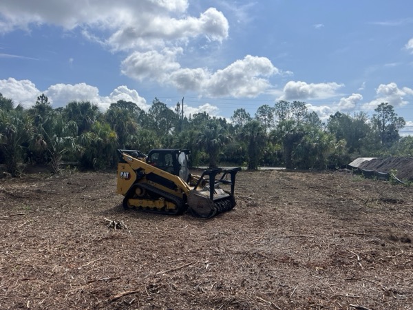 TreeShop land management project in Central Florida
