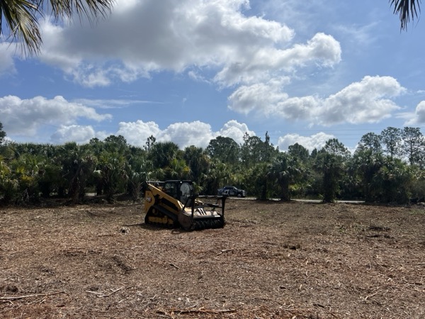 TreeShop land management project in Central Florida