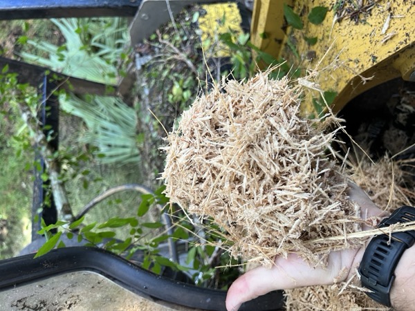 TreeShop land management project in Central Florida