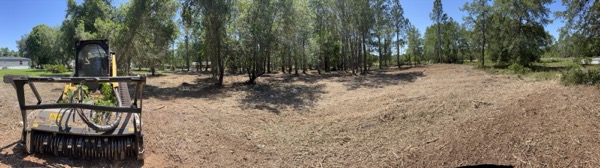 TreeShop land management project in Central Florida