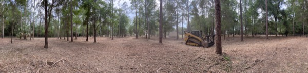 TreeShop land management project in Central Florida