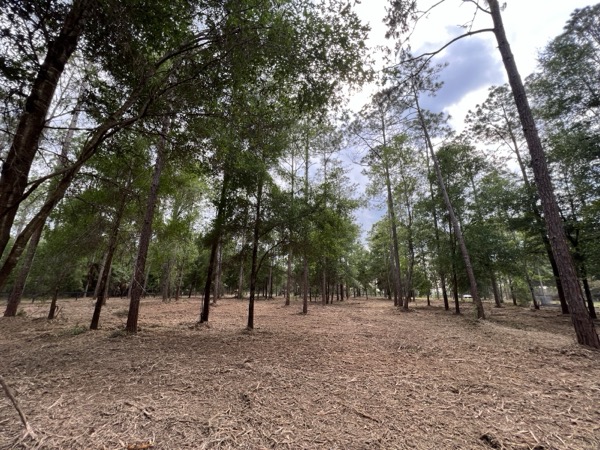 TreeShop land management project in Central Florida