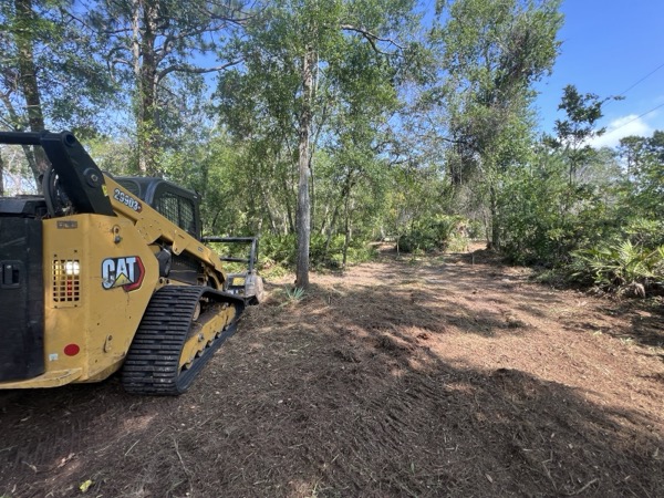 TreeShop land management project in Central Florida