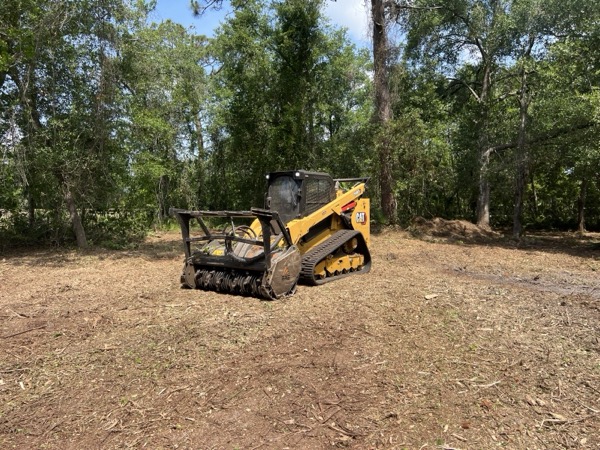 TreeShop land management project in Central Florida