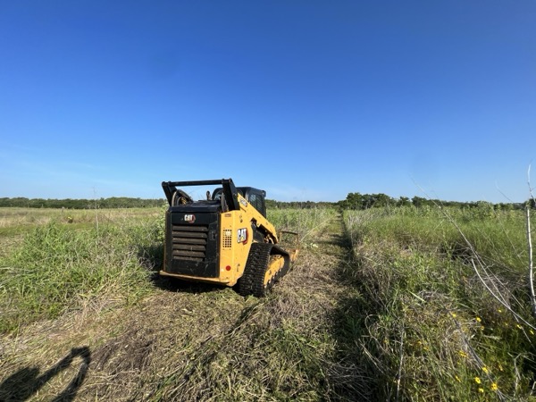 TreeShop land management project in Central Florida