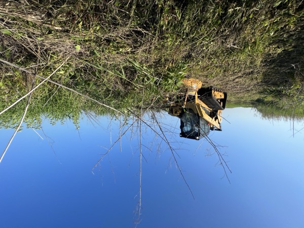 TreeShop land management project in Central Florida