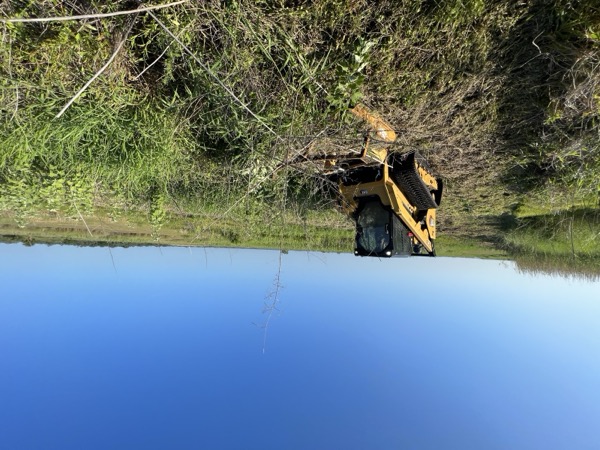 TreeShop land management project in Central Florida