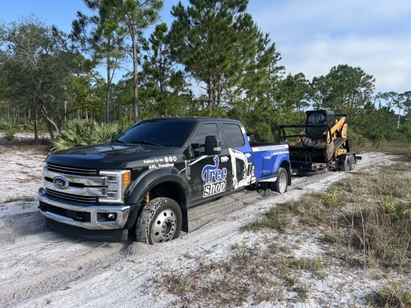 TreeShop land management project in Central Florida