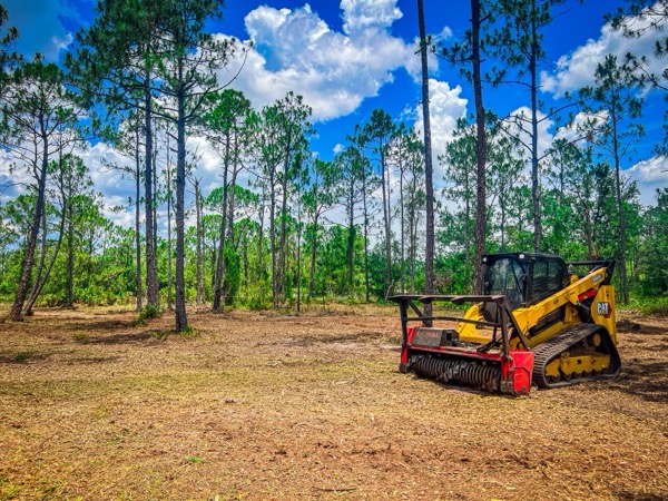 TreeShop land management project in Central Florida
