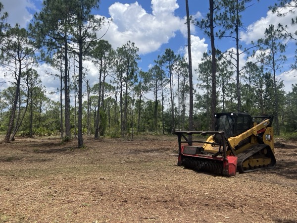 TreeShop land management project in Central Florida