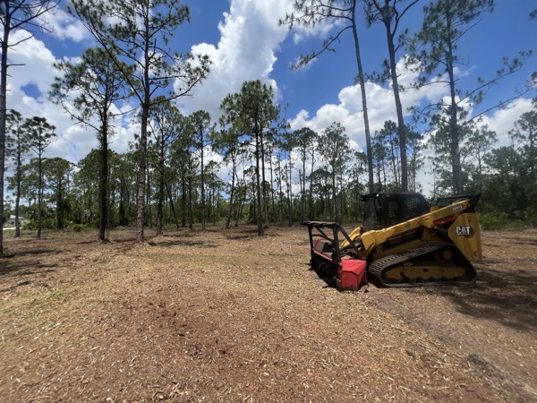 TreeShop land management project in Central Florida