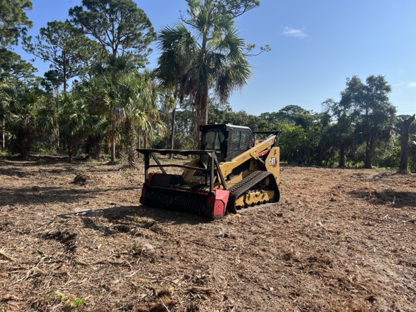 TreeShop land management project in Central Florida