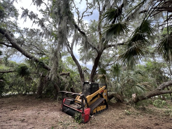TreeShop land management project in Central Florida