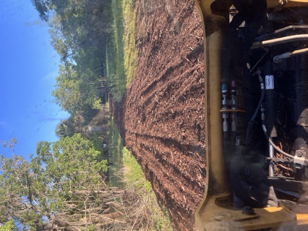 TreeShop land management project in Central Florida