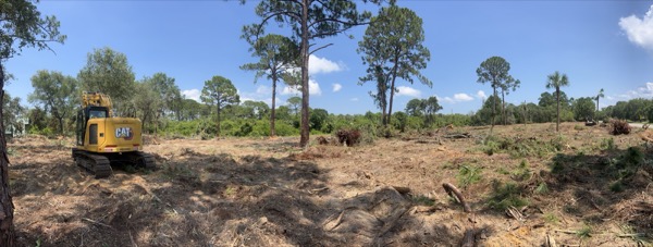TreeShop land management project in Central Florida