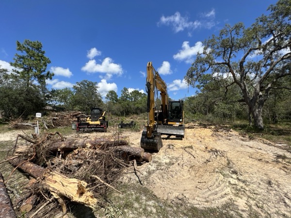 TreeShop land management project in Central Florida