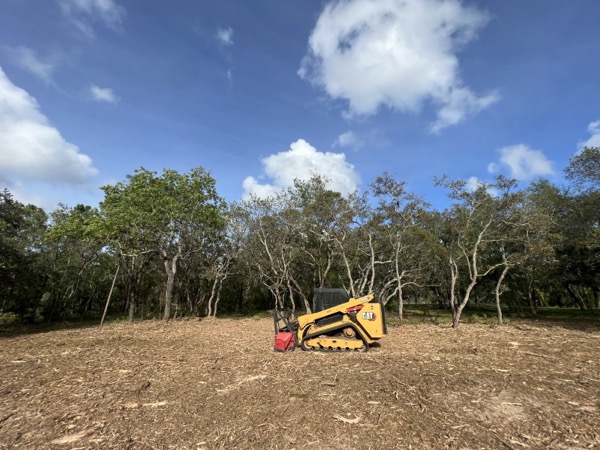 TreeShop land management project in Central Florida