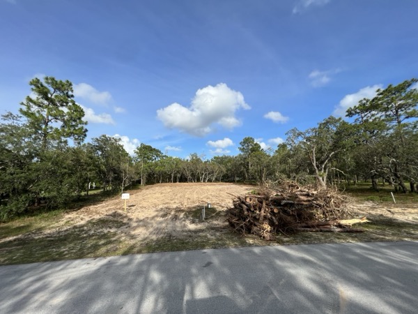 TreeShop land management project in Central Florida
